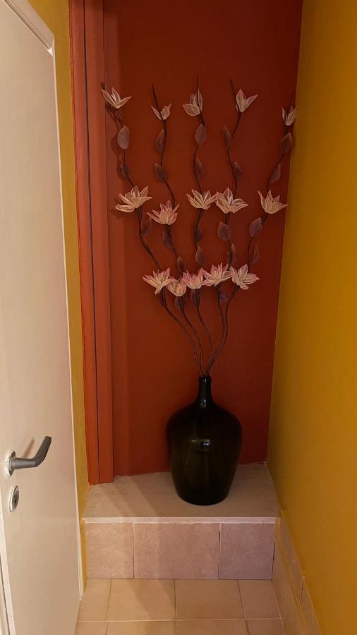 Casa Di Spili - Corfu Old Town Apartment Extérieur photo